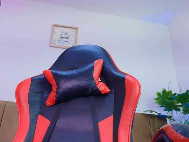 Nikkenyx webcam