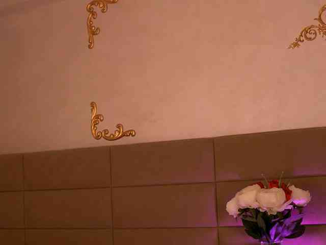 KyraCase webcam