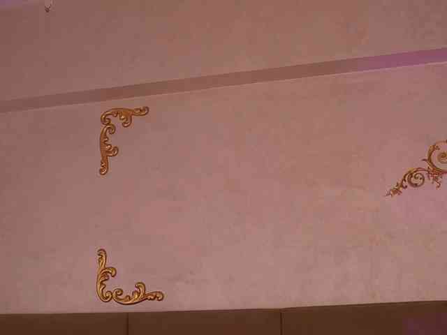 KyraCase webcam