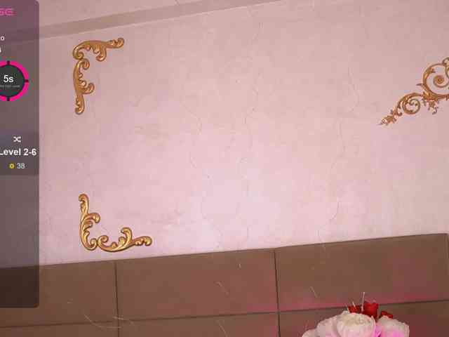 KyraCase webcam