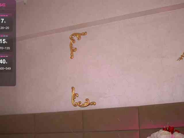 KyraCase webcam