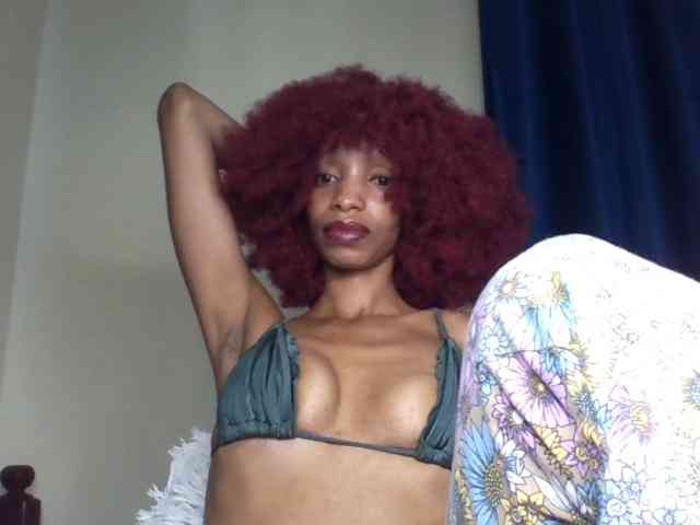 Velveet webcam