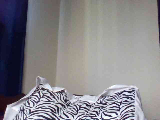 Velveet webcam