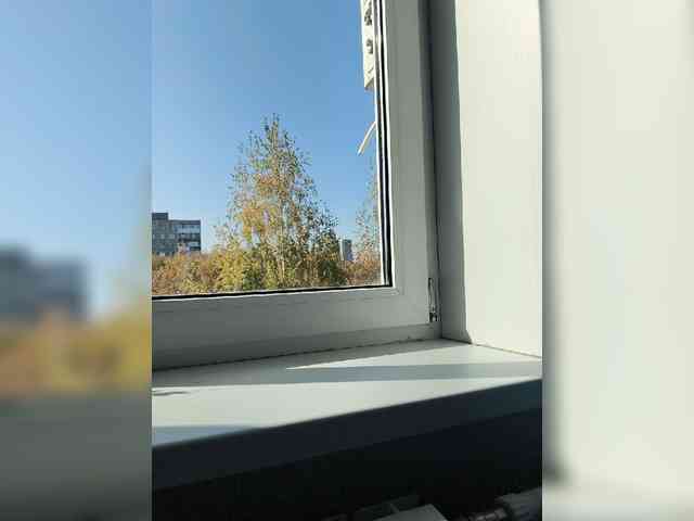 Pani_X webcam