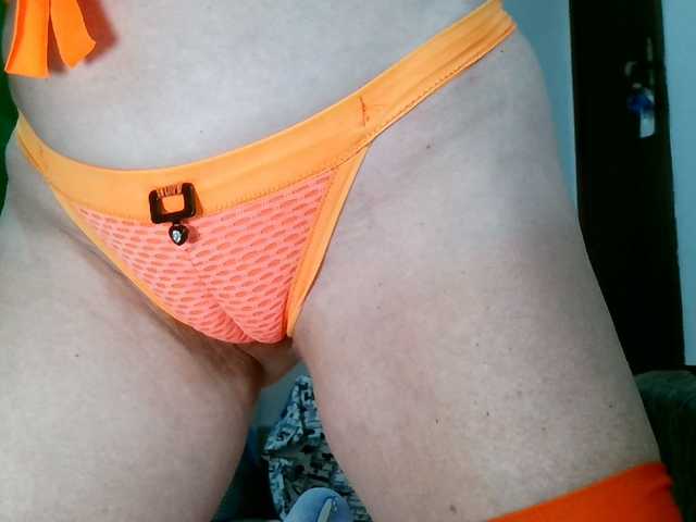 Carolsquirter