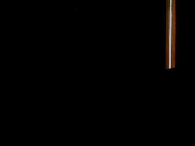 Carolsquirter webcam