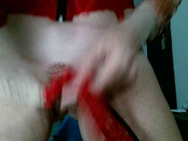 Carolsquirter webcam