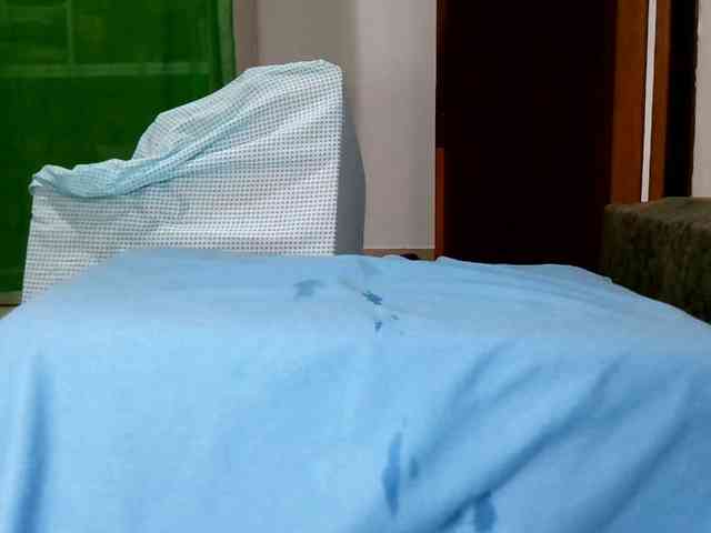 Carolsquirter webcam