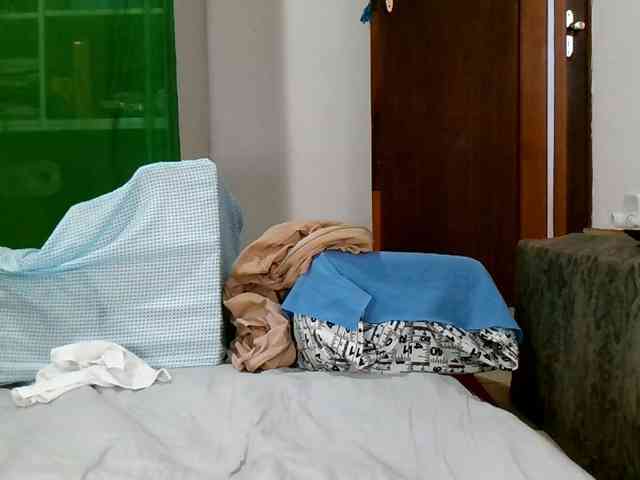 Carolsquirter webcam