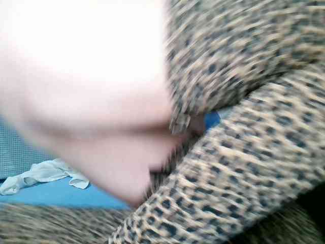 Carolsquirter webcam