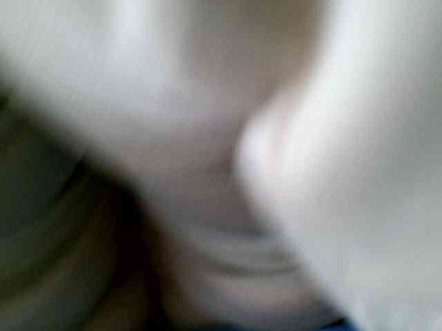 Carolsquirter webcam