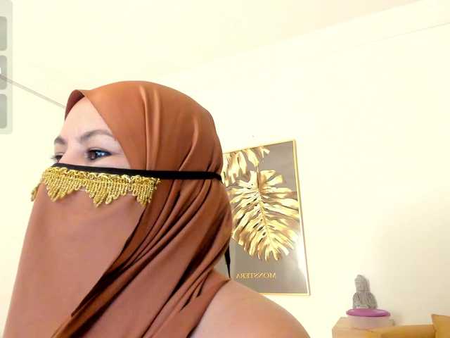 amina-hafssa