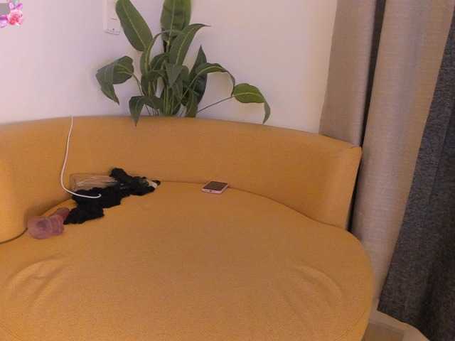 amina-hafssa live cam on BongaCams