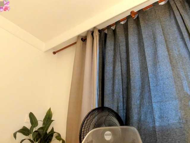 amina-hafssa live cam on BongaCams