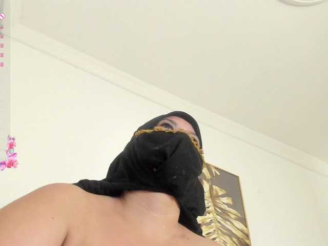 amina-hafssa