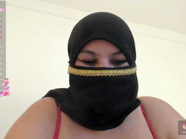 amina-hafssa