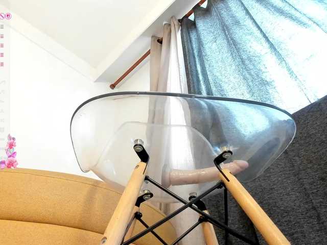 amina-hafssa live cam on BongaCams