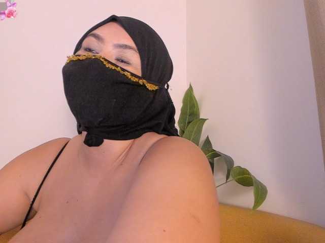 amina-hafssa