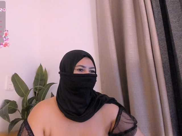 amina-hafssa