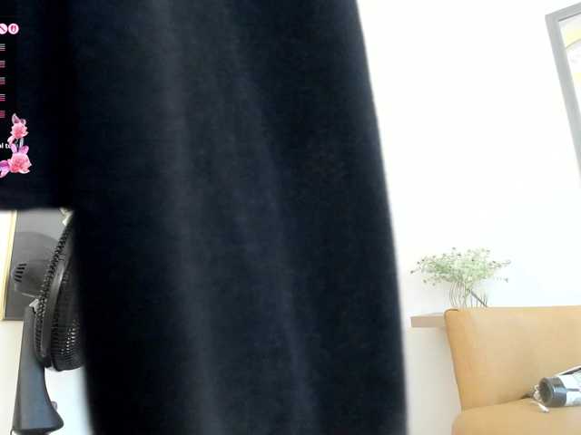 amina-hafssa online