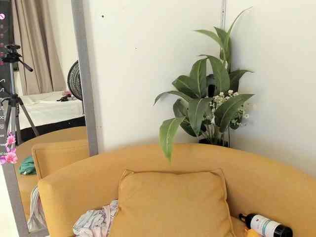 amina-hafssa webcam