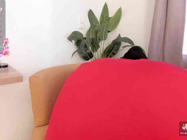 amina-hafssa webcam
