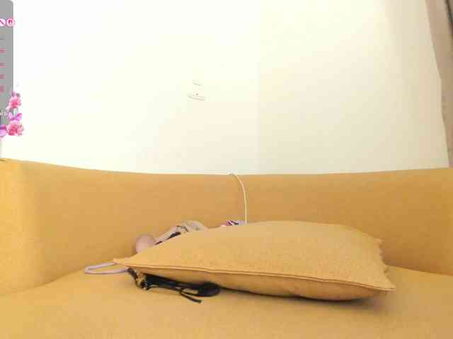 amina-hafssa webcam
