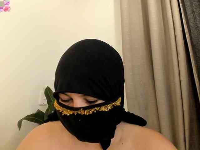 amina-hafssa amina-hafssa