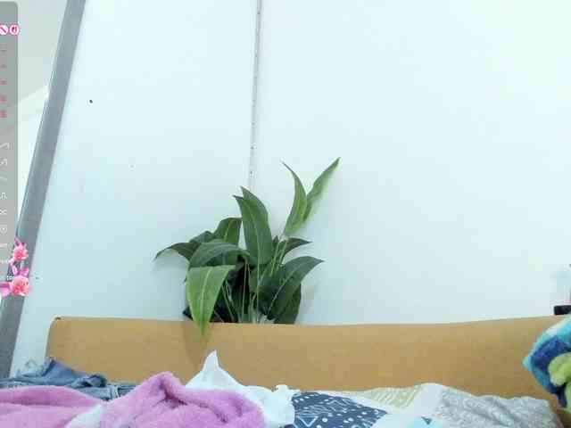 amina-hafssa webcam