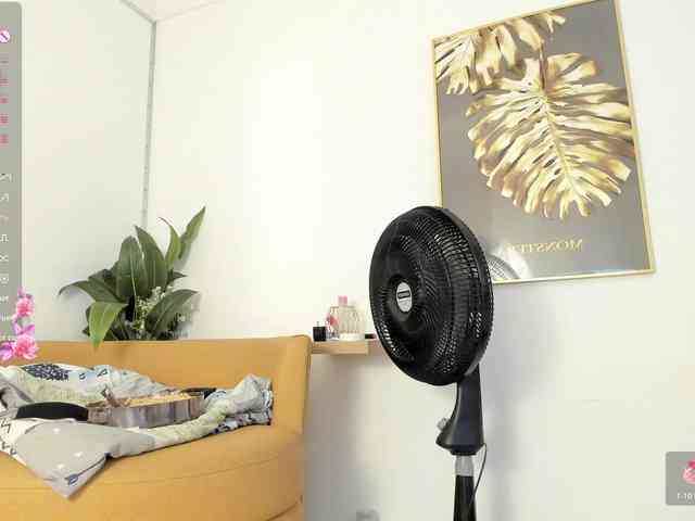 amina-hafssa webcam