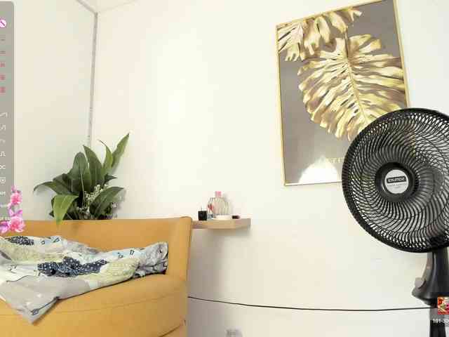 amina-hafssa's live room