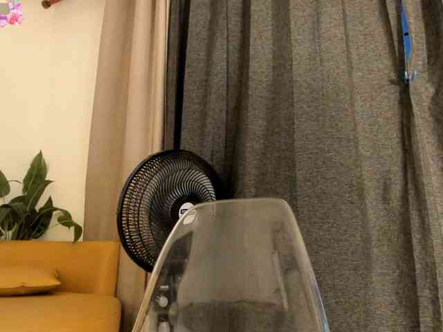 amina-hafssa webcam