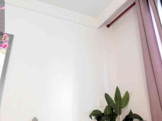 amina-hafssa webcam