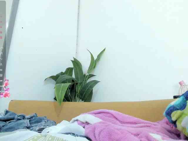 amina-hafssa webcam