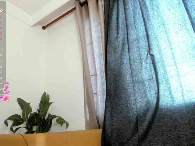 amina-hafssa webcam