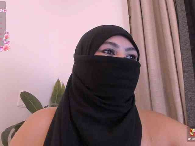 Model: amina-hafssa