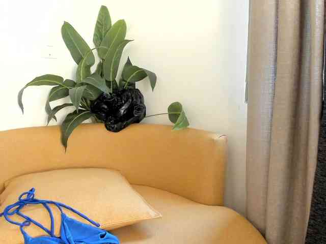 amina-hafssa webcam