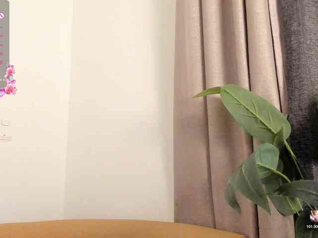 amina-hafssa webcam