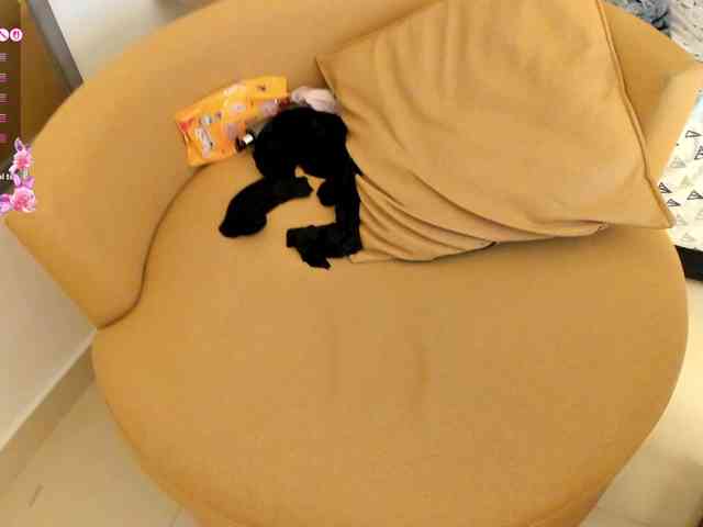 amina-hafssa webcam