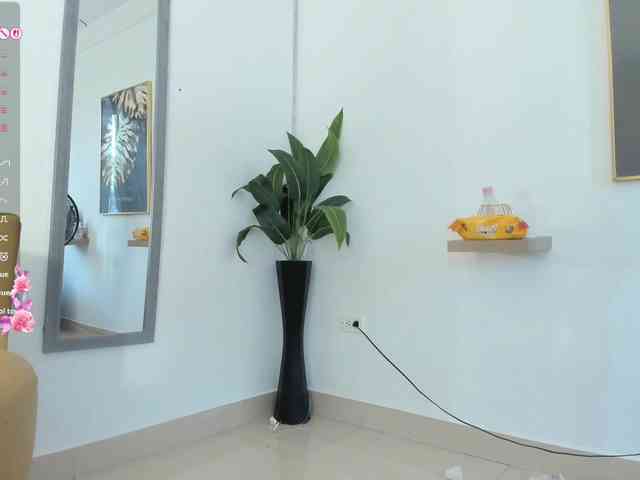 amina-hafssa webcam