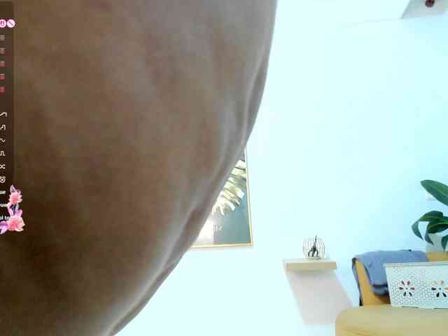 amina-hafssa webcam