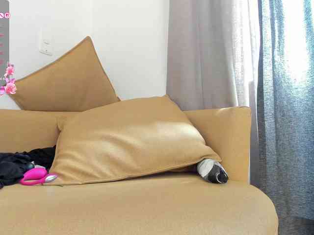 amina-hafssa webcam
