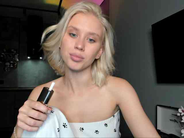 Sunlovv webcam
