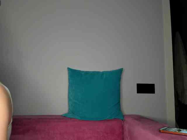 Sunlovv webcam