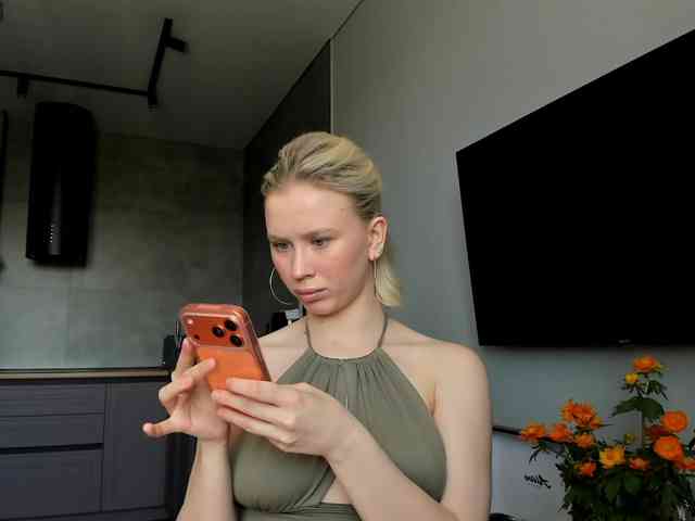 Sunlovv webcam