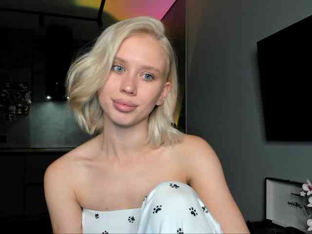 Sunlovv webcam