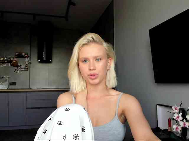 Sunlovv webcam