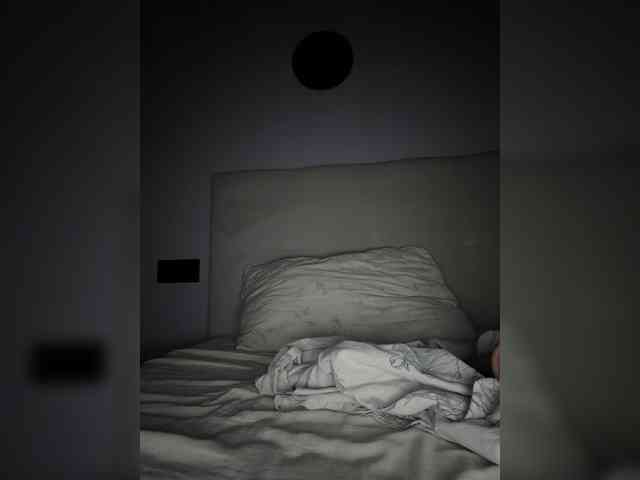Sunlovv webcam