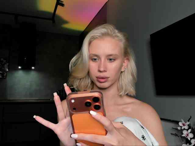 Sunlovv webcam