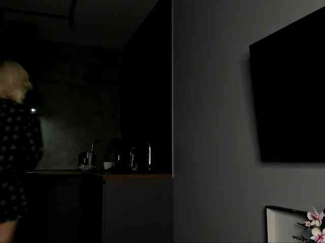 Sunlovv webcam